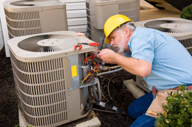 Best HVAC air duct cleaning  in Pell City, AL